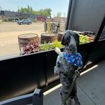 Baffin Brewing Company