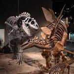 Denver Museum of Nature & Science