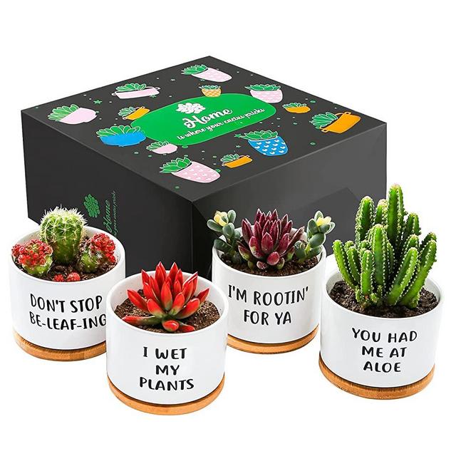 GEMWAVE Small Succulent Pots, Ceramic Pot Planters Cute Office Kitchen Home Decor Gift for Coworkers Handmade Small Plant Pot for Indoor Set of 4 Cool Women Gifts for Plant Lovers