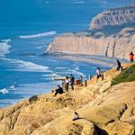 Torrey Pines State Natural Reserve