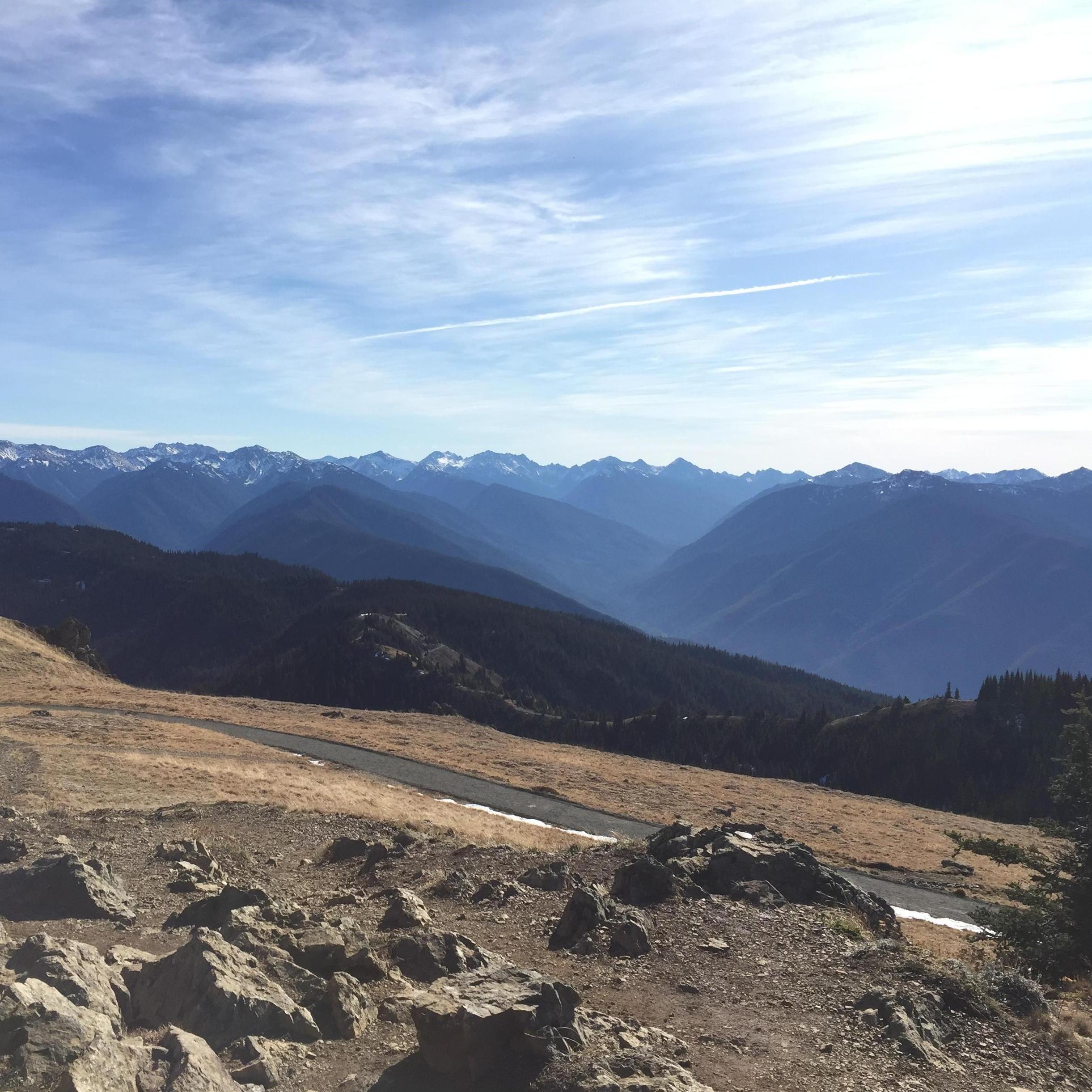 Breathtaking views on Tyler's birthday trip hike up hurricane ridge!