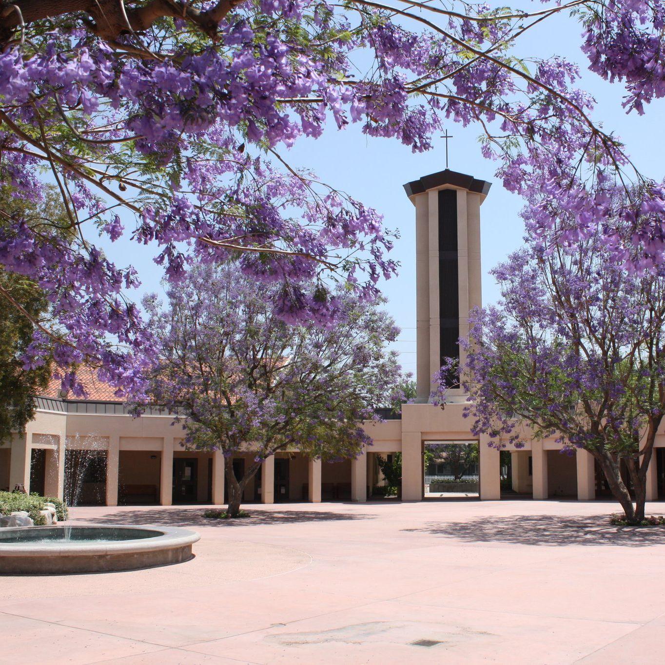Saint John Eudes