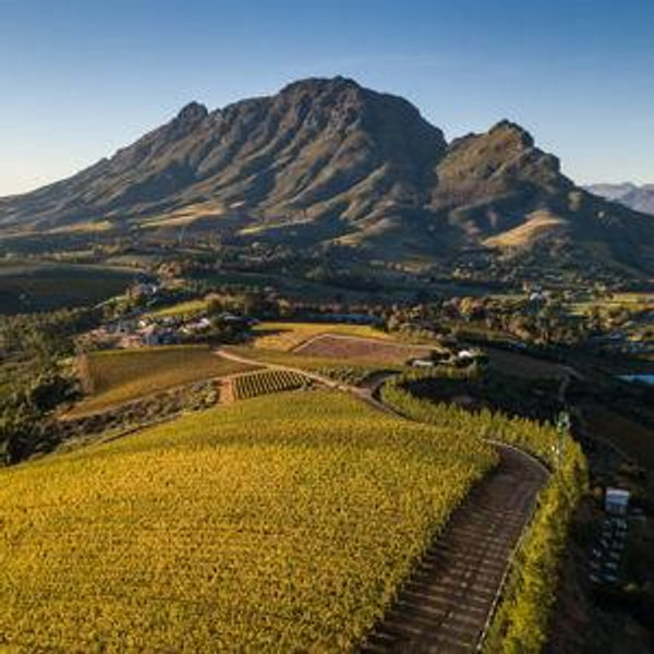 Wine Tasting at Delaire Graff Estates