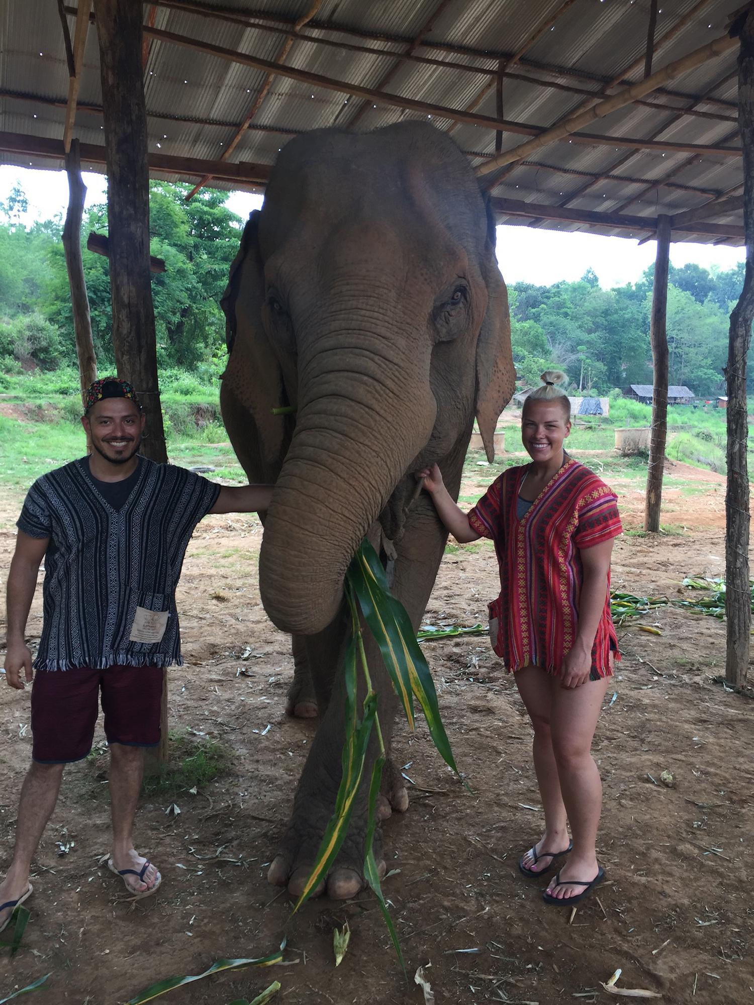 Taking care of the elephants in Chiang Mai, Thailand for Joe's 30th birthday!