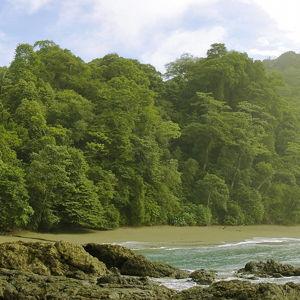 Corcovado National Park Tour