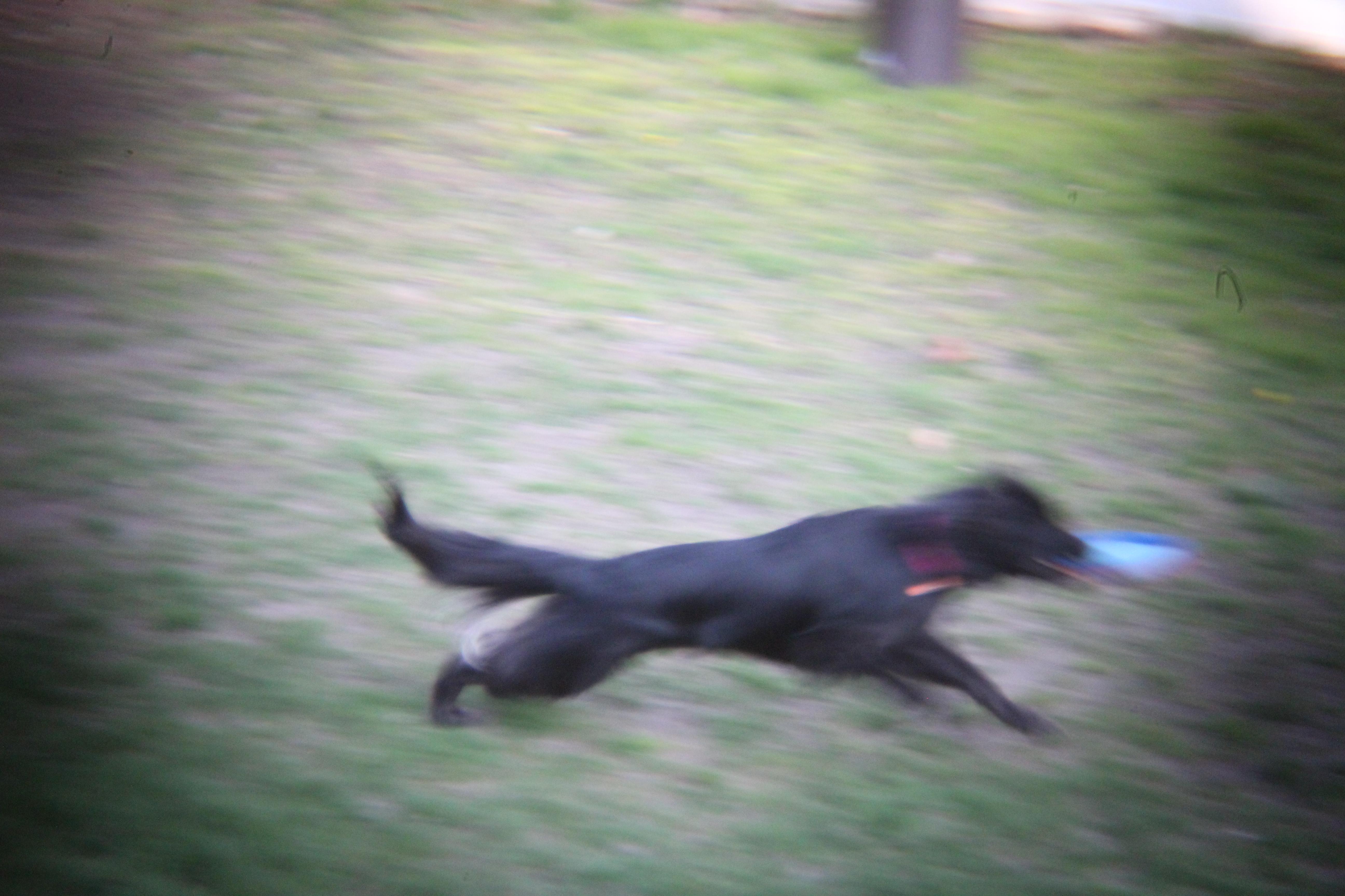 The Wedding Website of Kelsey Akin and Arthur Hayden