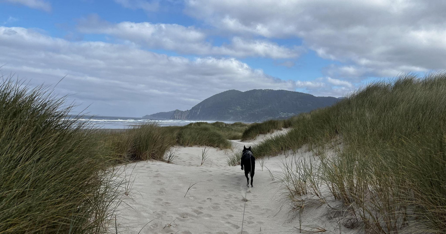The Wedding Website of Laura Vary and Brian Varley