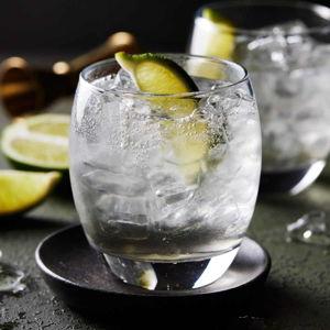 Gin tour in Scotland