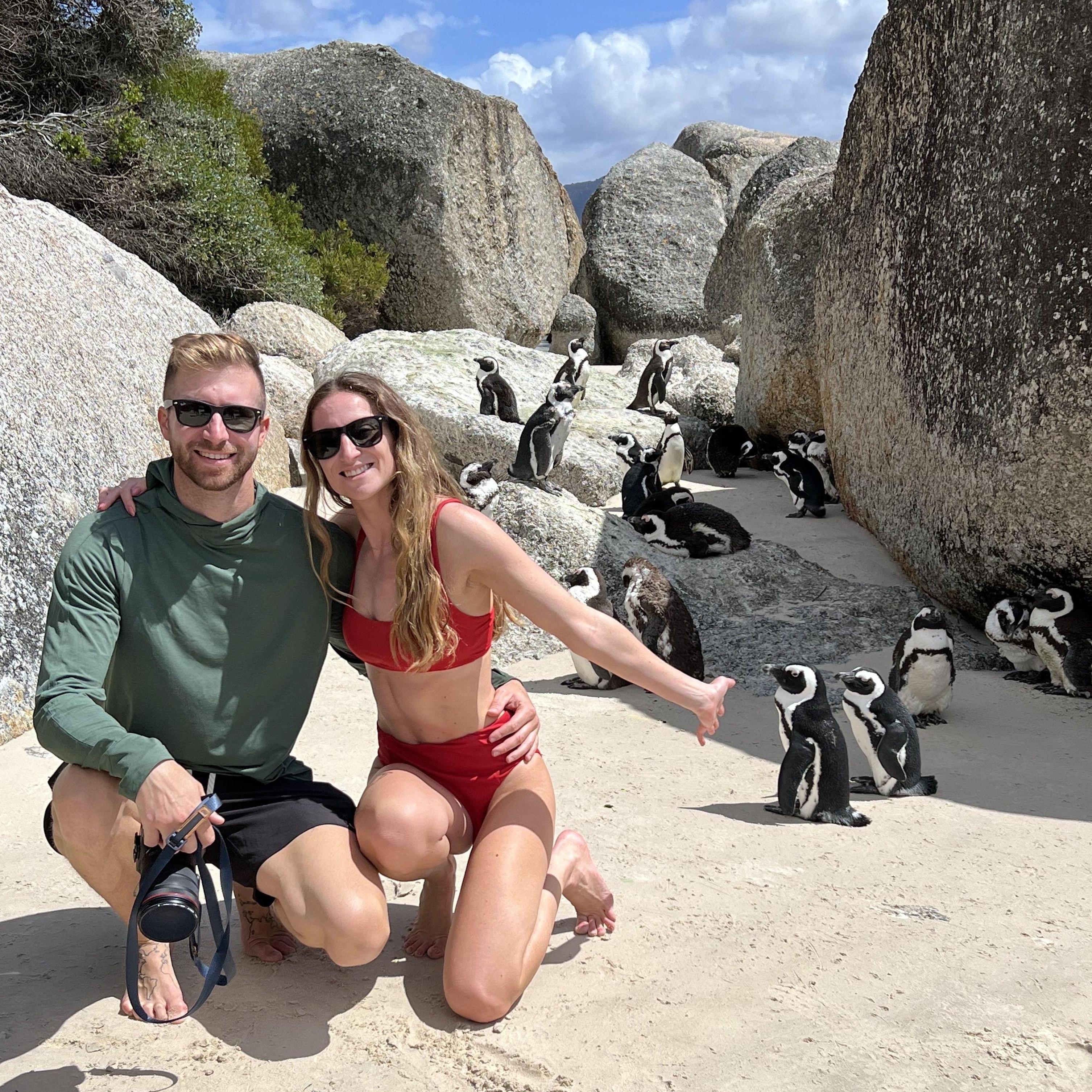 Penguins! Boulders Beach in South Africa