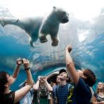 Pittsburgh Zoo & PPG Aquarium