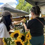 Milton Markets