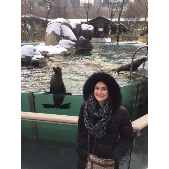Central Park Zoo in NYC visiting the Sea Lions.