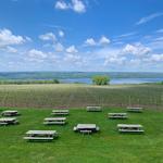 Wagner Vineyards Estate Winery