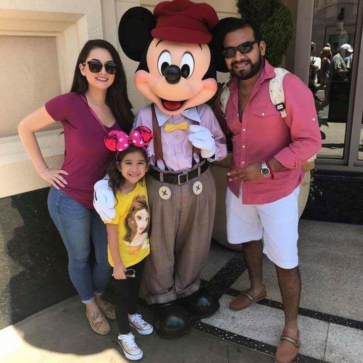 Disneyland 2017