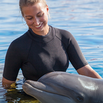 Marineland Dolphin Adventure