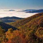 Shenandoah National Park