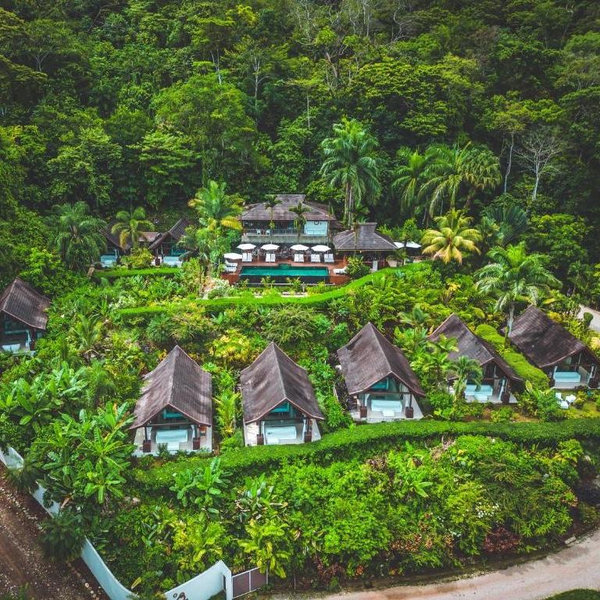 Jungle Resort