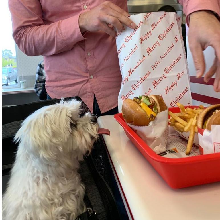 Noon's (RIP) favorite meal = In-n-Out