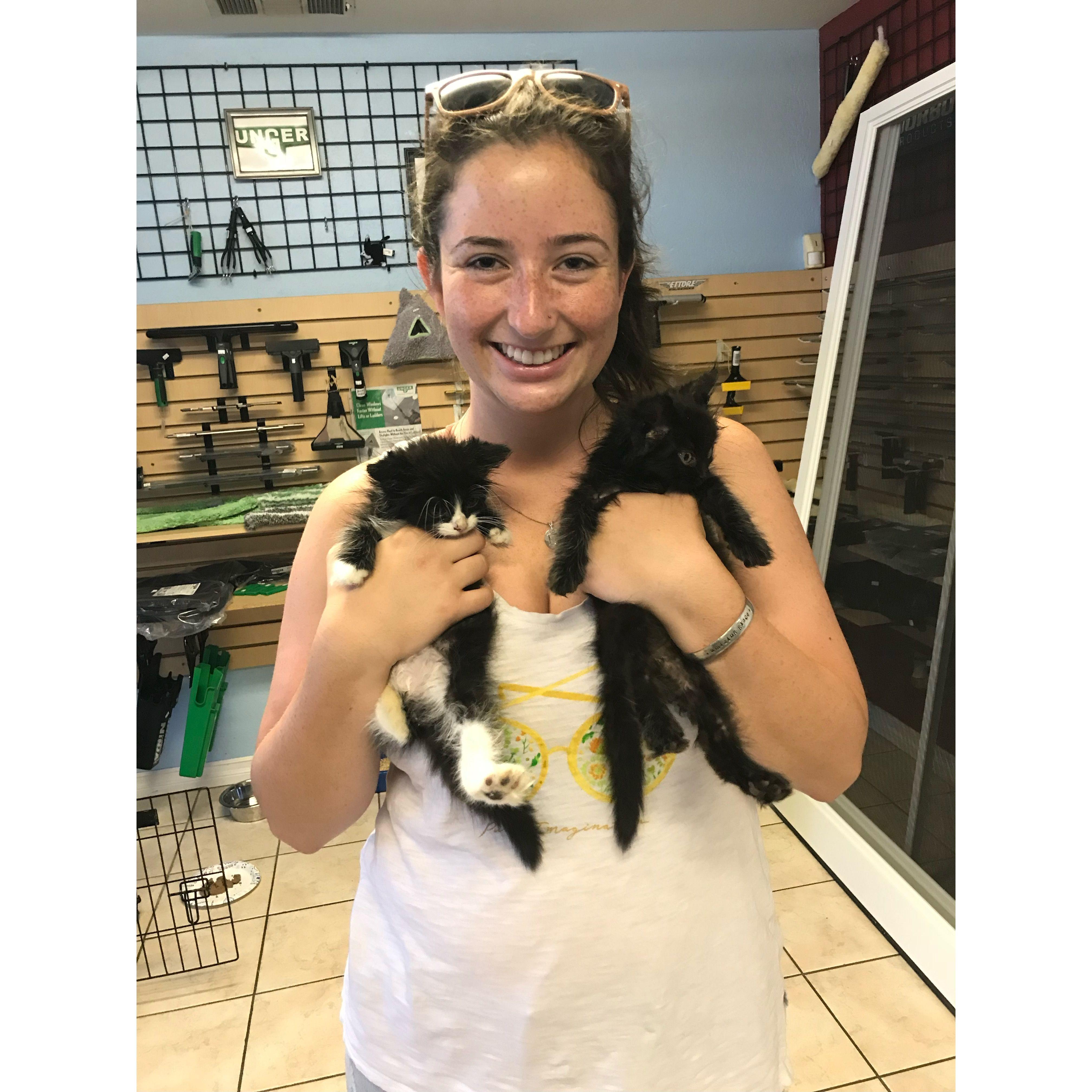 August 2018: Grace adopted Walter & Jesse, who would soon become Stephen's best friends.