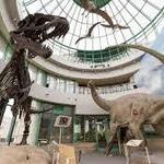 North Carolina Museum of Natural Sciences