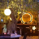 Nagai Restaurant Ibiza, Sushi & Fusion Cuisine
