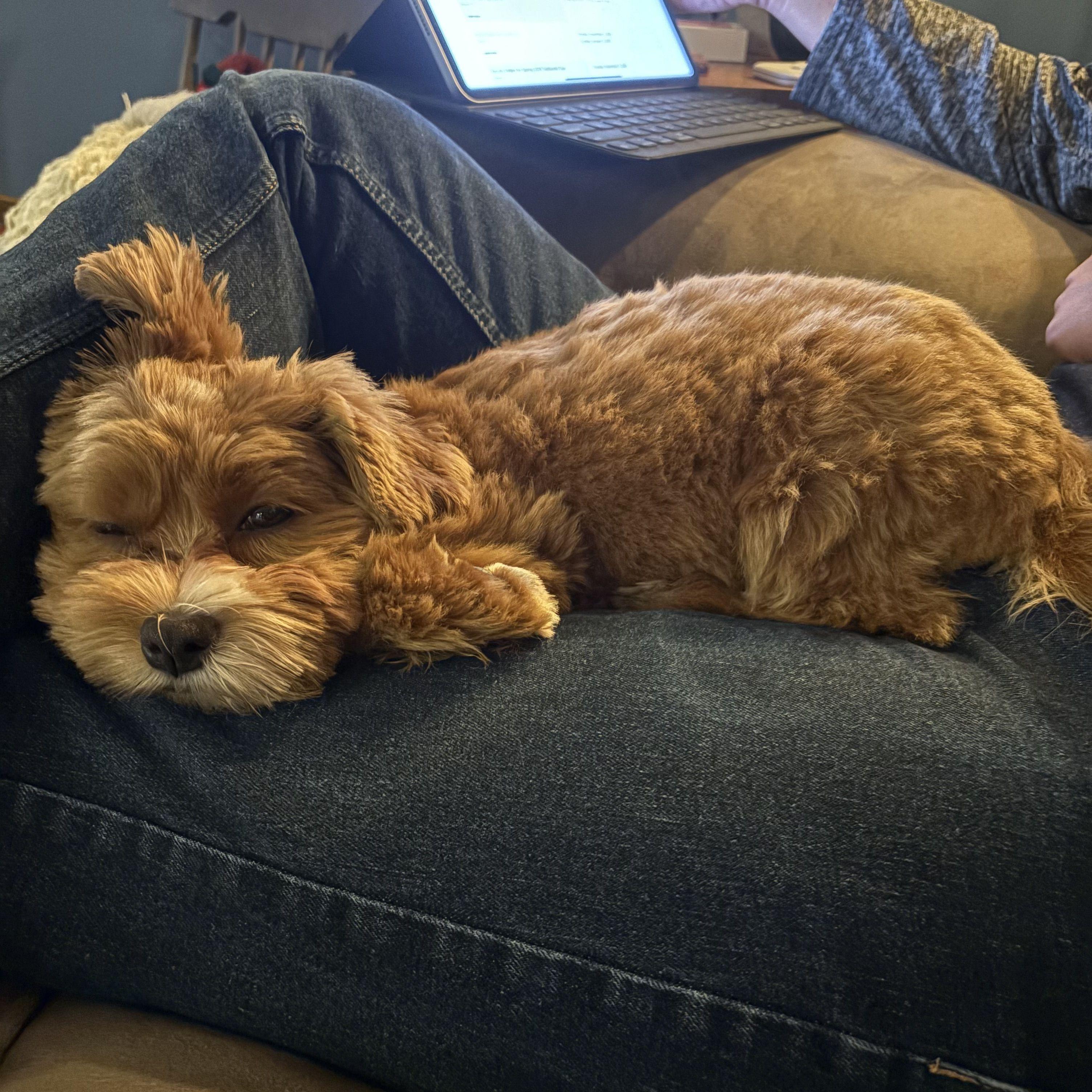 Our little guy, Sage