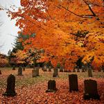 Forest Hills Cemetery