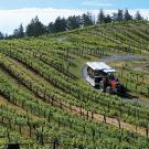 Korbel Winery