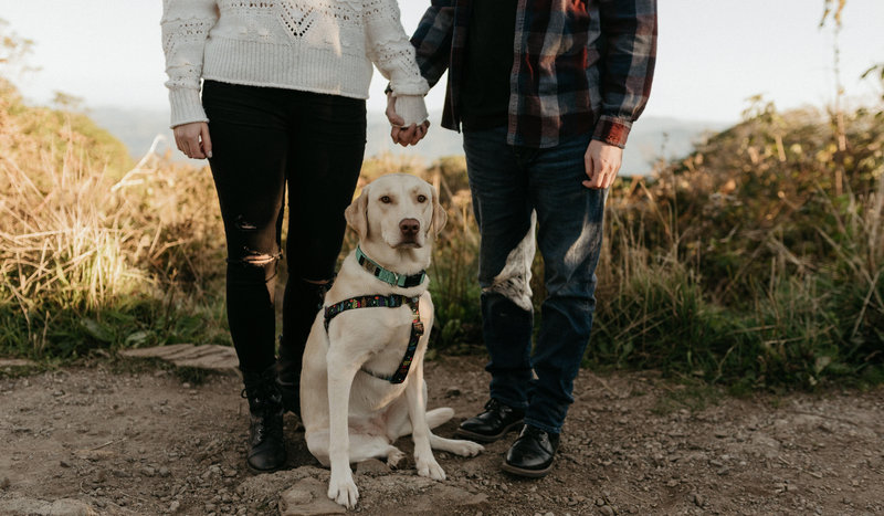 Morgan Scearce and Will Benhoff's Wedding Website
