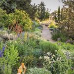 Denver Botanic Gardens