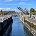 Ballard Locks Fish Ladder