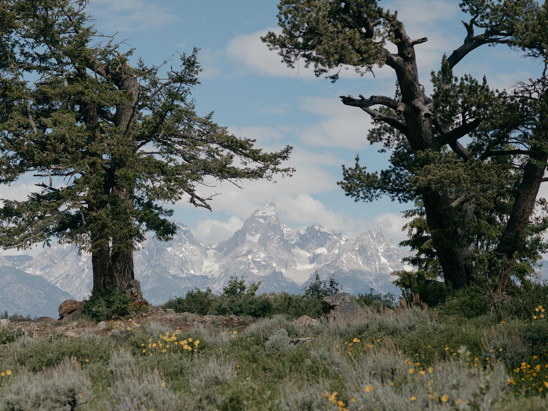 The Wedding Website of Alyssa Jenson and Trevor Steffen