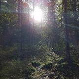 Eagle River Nature Center