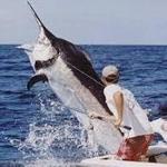 Panama Big Game Fishing Resort