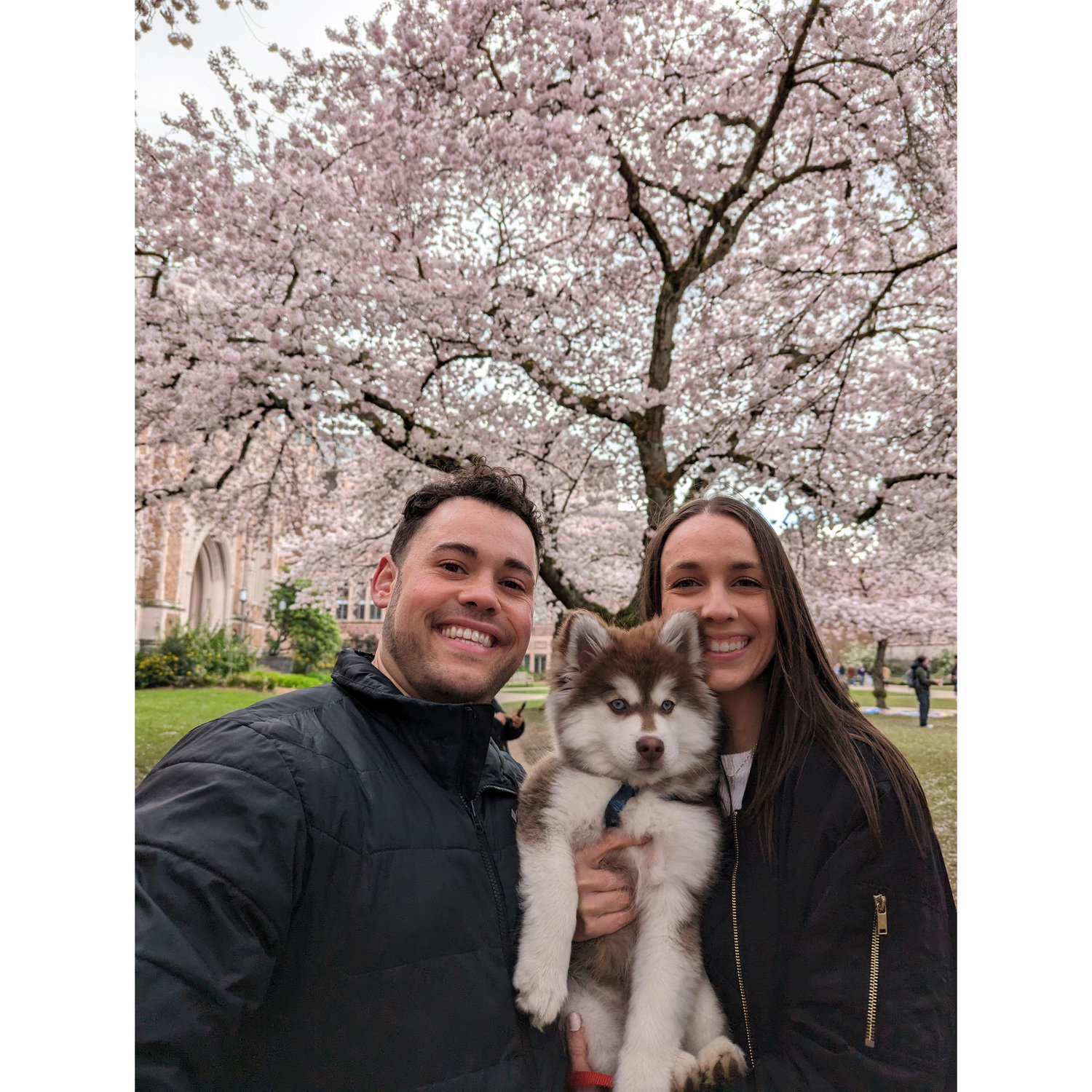 April 2024 - Seattle, Washington