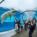 Detroit Zoo