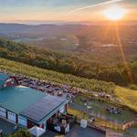 Carter Mountain Orchard