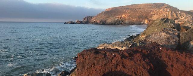 The Wedding Website of Natalia Ruiz and Michael Pitts