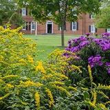 Museum of the Shenandoah Valley