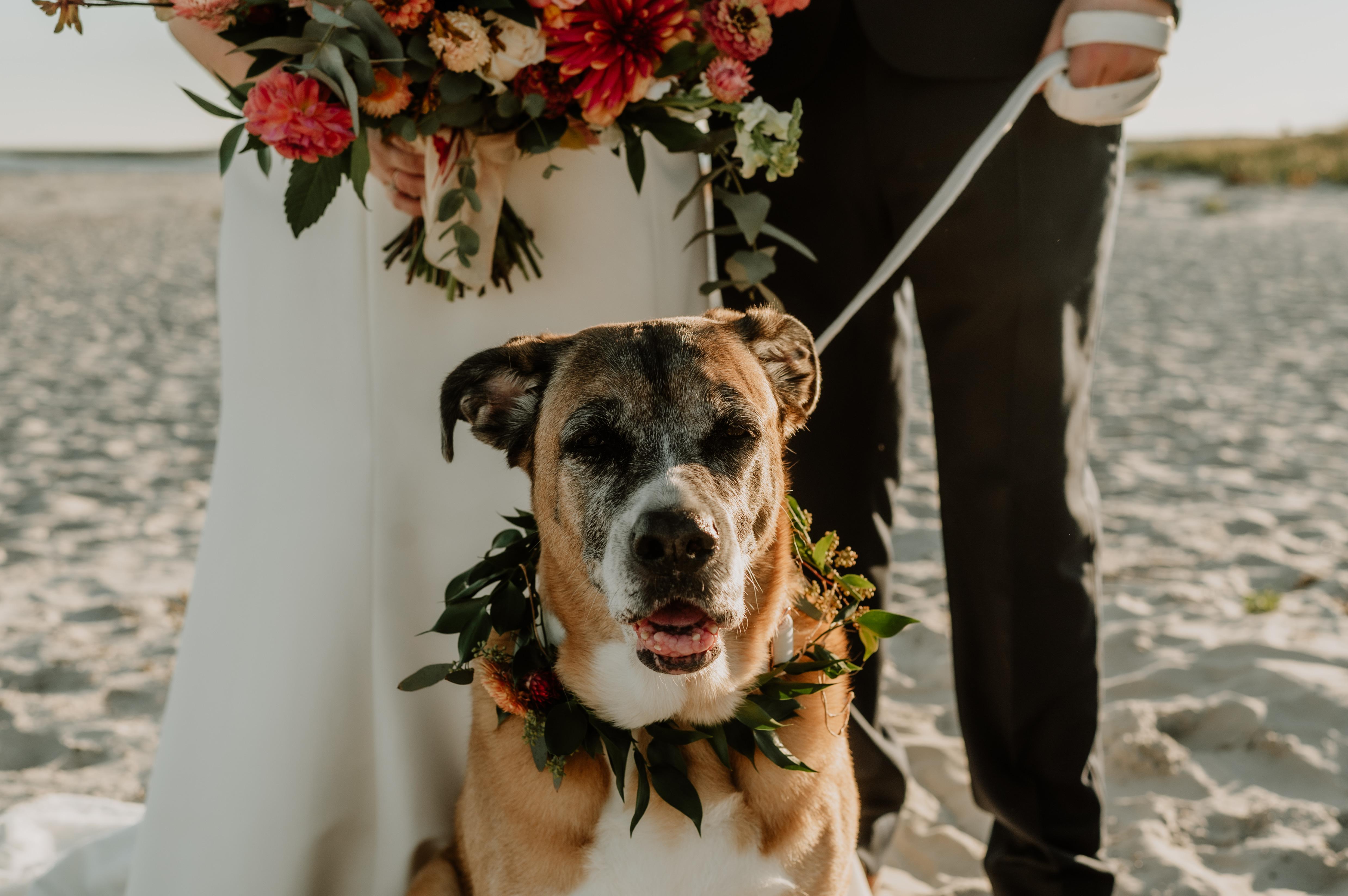 The Wedding Website of Taylor Hoffman and Kyle Janco