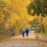 Katy Trail - North Jefferson City Trailhead
