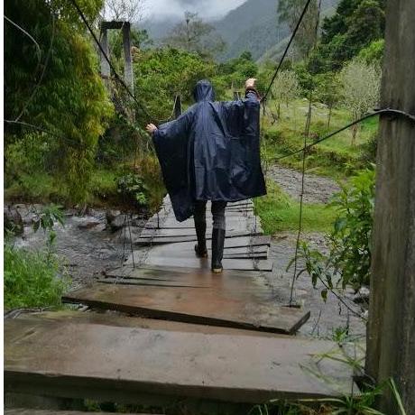 Cocora Valley in Salento, Colombia.
