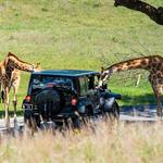 Fossil Rim Wildlife Center