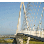 Walk the Ravenel Bridge