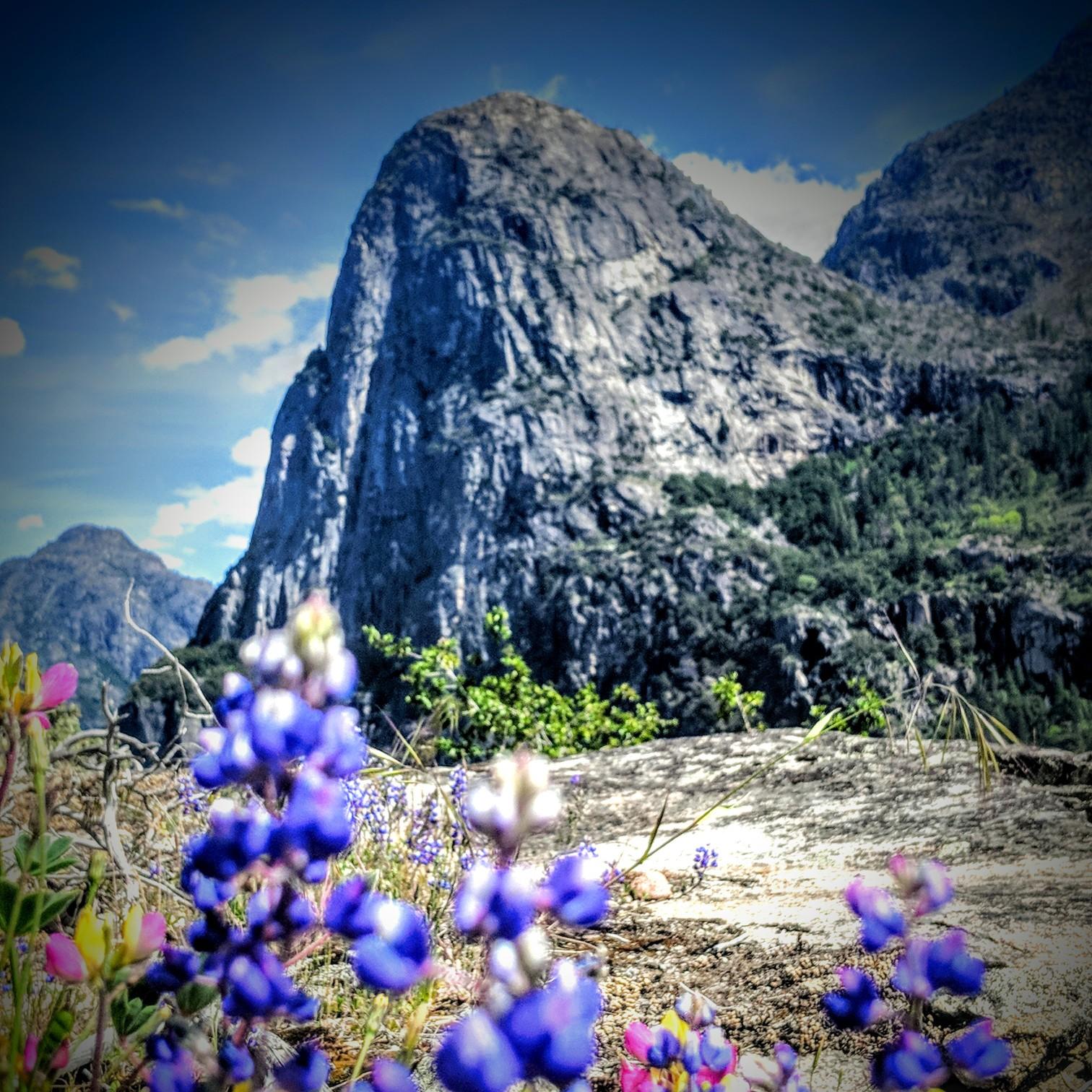 Hetch Hetchy reservoir, Yosemite National Park