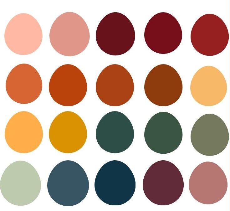 The Wedding Website of Angel Rodriguez and Hannah Moreno