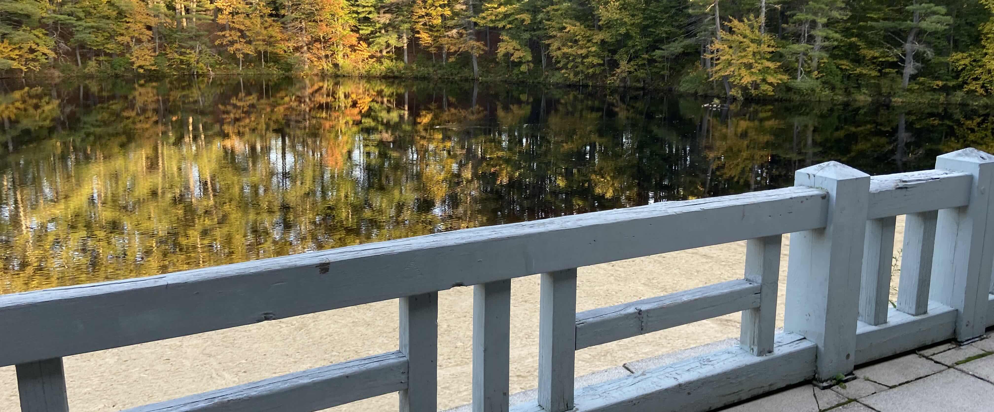 The Wedding Website of Celeste McElhaney and Ben Montembeault