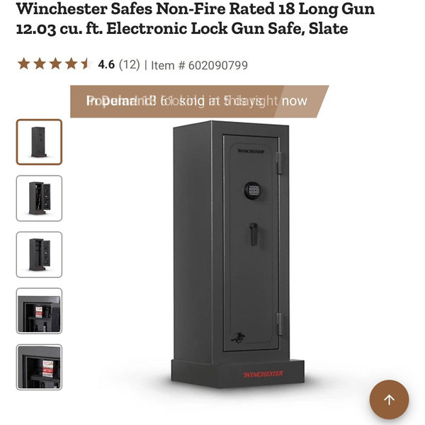 Winchester Safes 18 Gun Cabinet at Tractor Supply Co
