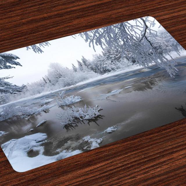 Winter Placemats Set of 4 Nordic Snow Nature Lake Idyllic Finland Icy Cold Forest Scandinavian Landscape, Washable Fabric Place Mats for Dining Room Kitchen Table Decor,White Dark Taupe, by Ambesonne