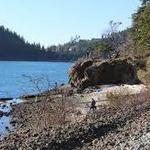Teddy Bear Cove - Chuckanut Mountain Trails